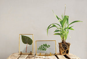 Brass and Glass Photo Frames